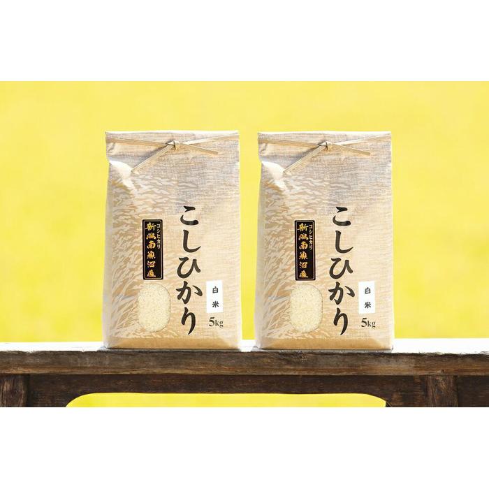 【ふるさと納税】【令和8年産 新米予約 全12回定期便】南魚沼産コシヒカリ 白米10kg&times;12回 新潟県の特A地区南魚沼市の美味しいお米【定期便 銘柄米 ブランド米 精米 こしひかり コシヒカリ】【2026年11月上旬から1ヶ月以内に順次発送予定】｜新潟県南魚沼市