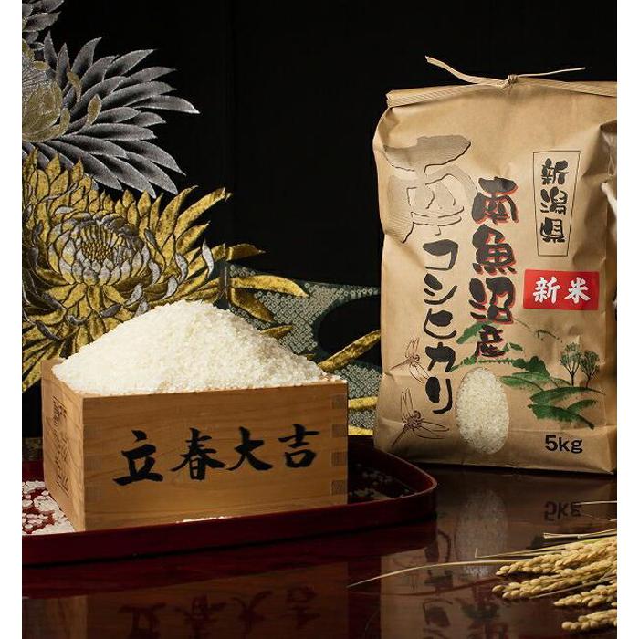 ふるさと納税 魚沼産コシヒカリ無洗米　5kg 新潟県十日町市