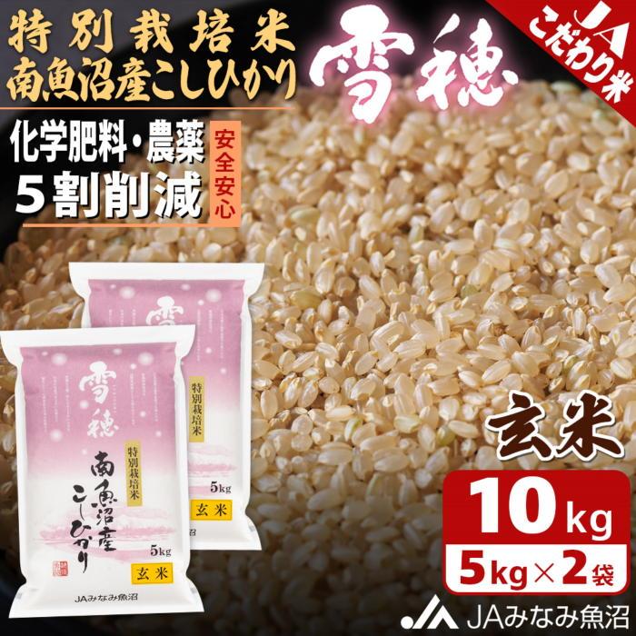【ふるさと納税】【令和7年産】特別栽培米南魚沼産こしひかり「雪穂」玄米 10kg ≪農薬5割削減 特A獲得日本一産地 精選玄米 もっちり甘い 南魚沼産コシヒカリ コシヒカリ こしひかり 銘柄米 玄米 ブランド米 南魚沼産 新潟米 高評価 甘み 国産米 産地米 家庭米 ご飯≫｜新潟県南魚沼市