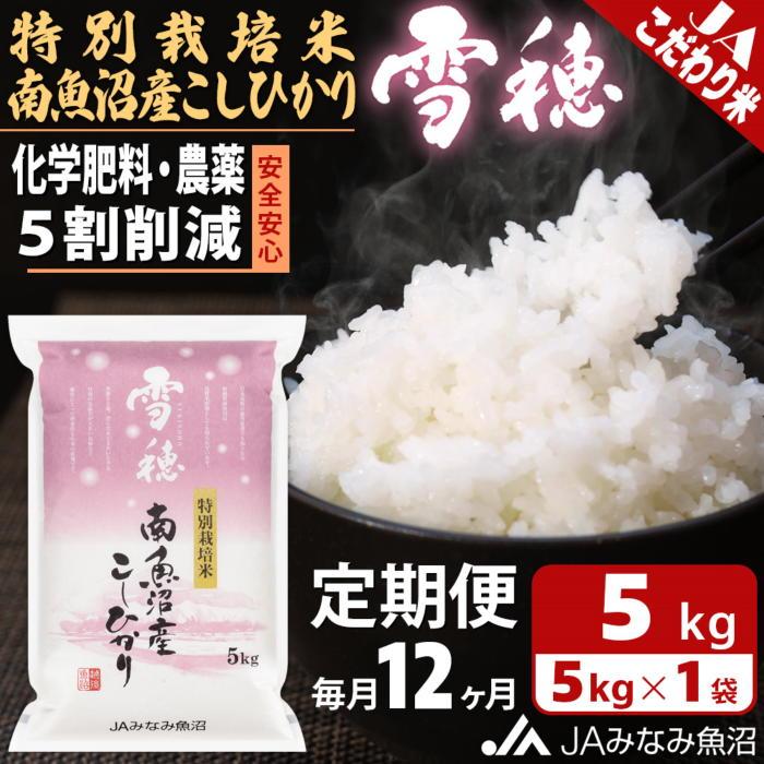 【ふるさと納税】【JAみなみ魚沼定期便】特別栽培米南魚沼産こしひかり「雪穂」(5kg×全12回) ≪精米 農薬5割削減 精米HACCP認定工場 特A獲得日本一産地 高品質精米 もっちり甘い 南魚沼産コシヒカリ 定期便 コシヒカリ こしひかり 精米 銘柄米≫|新潟県南魚沼市