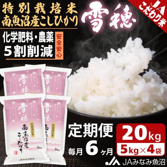 【ふるさと納税】【JAみなみ魚沼定期便】特別栽培米南魚沼産こしひかり「雪穂」（20kg×全6回）精米 農薬5割削減 精米HACCP認定工場 特A獲得日本一産地 高品質精米 もっちり甘い 南魚沼産コシヒカリ | お米 こめ 白米 食品 人気 おすすめ 送料無料 魚沼 南魚沼