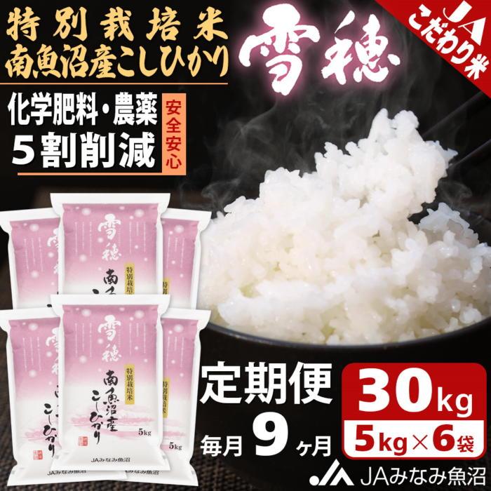 【ふるさと納税】【JAみなみ魚沼定期便】特別栽培米南魚沼産こしひかり「雪穂」（30kg×全9回）精米 農薬5割削減 精米HACCP認定工場 特A獲得日本一産地 高品質精米 もっちり甘い 南魚沼産コシヒカリ | お米 こめ 白米 食品 人気 おすすめ 送料無料 魚沼 南魚沼