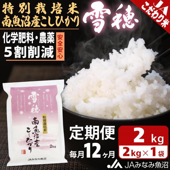 【ふるさと納税】【JAみなみ魚沼定期便】特別栽培米南魚沼産こしひかり「雪穂」(2kg×全12回) ≪精米 農薬5割削減 精米HACCP認定工場 特A獲得日本一産地 高品質精米 もっちり甘い 南魚沼産コシヒカリ 定期便 コシヒカリ こしひかり 精米 銘柄米≫|新潟県南魚沼市