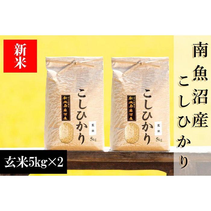 【ふるさと納税】【令和8年産 新米予約】南魚沼産コシヒカリ（玄米）【10kg】【銘柄米 ブランド米 玄米 こしひかり コシヒカリ 魚沼産 新潟米 産地直送 お米 米 こめ コメ ご飯 御飯 ごはん】【2026年10月上旬から1ヶ月以内に順次発送予定】｜新潟県南魚沼市