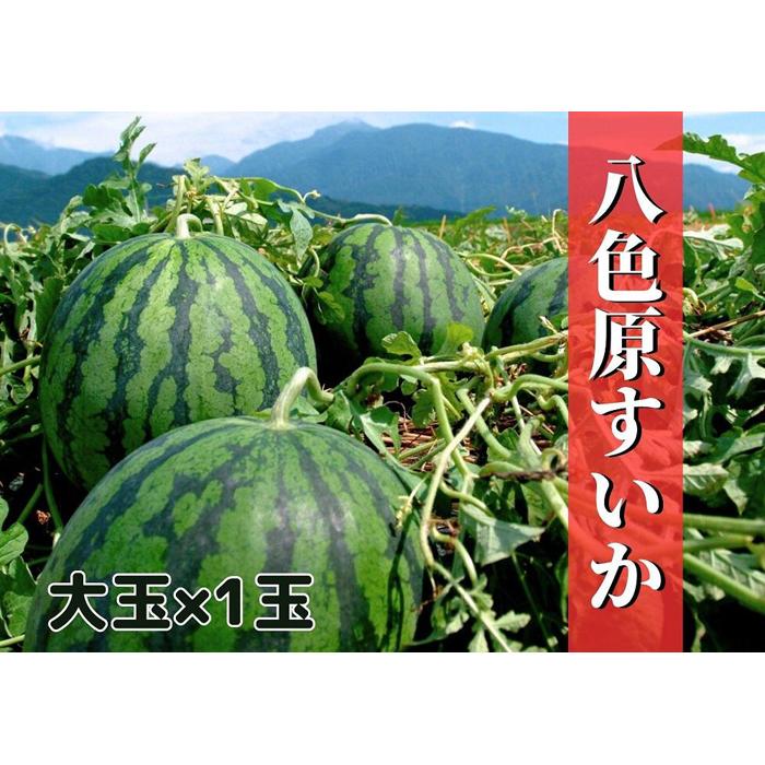 【ふるさと納税】【新潟県南魚沼産】八色原スイカ 大玉１玉 | フルーツ 果物 くだもの 食品 人気 おすすめ 送料無料
