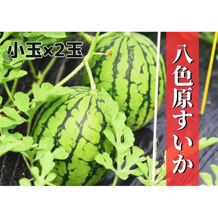 【ふるさと納税】【新潟県南魚沼産】八色原スイカ 小玉２玉 | フルーツ 果物 くだもの 食品 人気 おすすめ 送料無料