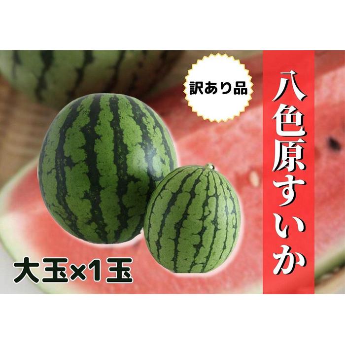 【ふるさと納税】すいか 訳あり 新潟県南魚沼産 八色原スイカ 大玉 １玉 | フルーツ 果物 くだもの 食品 人気 おすすめ 送料無料　わけあり