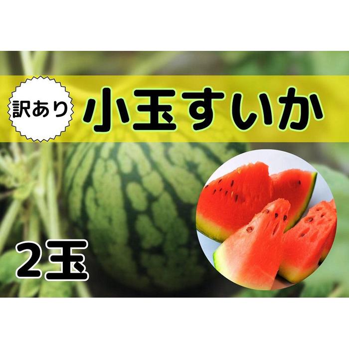 【ふるさと納税】すいか 訳あり 新潟県南魚沼産 八色原スイカ 小玉 ２玉 | フルーツ 果物 くだもの 食品 人気 おすすめ 送料無料　わけあり