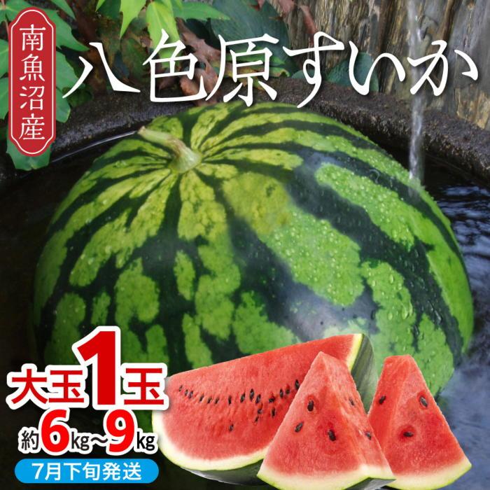 【ふるさと納税】【新潟県 南魚沼産】八色原すいか大玉１玉 | フルーツ 果物 くだもの 食品 人気 おすすめ 送料無料