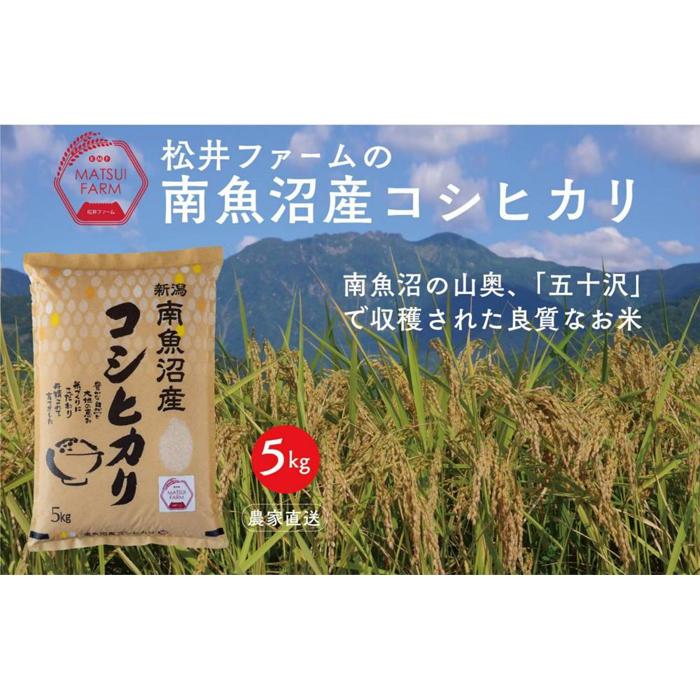 【ふるさと納税】【令和7年産新米予約】【定期便（無洗米）】南魚沼産コシヒカリ（5kg×6回)【2025年10月上旬より順次発送予定】 | お米 こめ 白米 コシヒカリ 食品 人気 おすすめ 送料無料 魚沼 南魚沼 南魚沼市 新潟県産 新潟県 精米 産直 産地直送 お取り寄せ