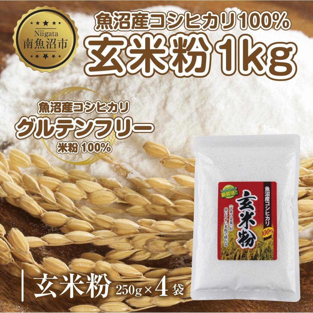 【ふるさと納税】玄米粉 250g×4袋 計1kg 魚沼産 コシヒカリ 玄米 白米粉 グルテンフリー 小麦不使用 GABA アレルギー お取り寄せ パン ケーキ 菓子 ギフト 送料無料 コパフーズ 新潟県 南魚沼市 | 食品 加工食品 人気 おすすめ 送料無料