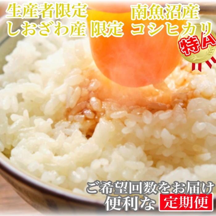【ふるさと納税】【令和7年産】【定期便15kg&times;3ヶ月】しおざわ産限定 生産者限定 南魚沼産コシヒカリ【定期便 銘柄米 ブランド米 精米 こしひかり コシヒカリ 魚沼産 新潟米 産地直送 お米 米 こめ コメ ご飯 御飯 ごはん】｜新潟県南魚沼市