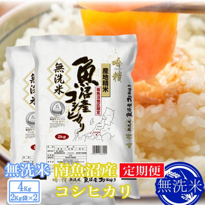 【ふるさと納税】【令和7年産】【定期便4kg&times;12ヶ月】●吟精 無洗米●南魚沼産コシヒカリ【定期便 銘柄米 ブランド米 無洗米 こしひかり コシヒカリ 魚沼産 新潟米 産地直送 お米 米 こめ コメ ご飯 御飯 ごはん】｜新潟県南魚沼市 144,000円