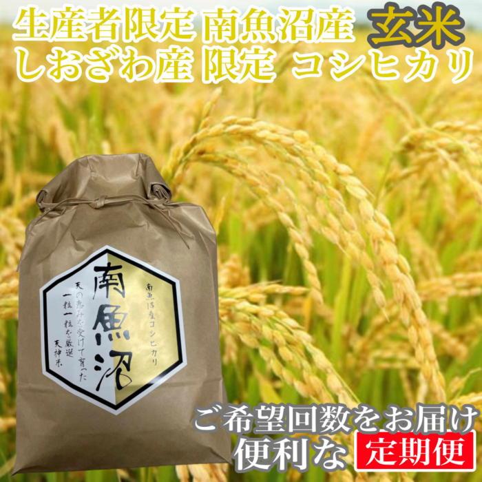 【ふるさと納税】【令和7年産】【定期便2kg×3ヶ月】玄米 しおざわ産限定 生産者限定 南魚沼産コシヒカリ【定期便 銘柄米 ブランド米 玄米 こしひかり コシヒカリ 魚沼産 新潟米 産地直送 お米 米 こめ コメ ご飯 御飯 ごはん】|新潟県南魚沼市
