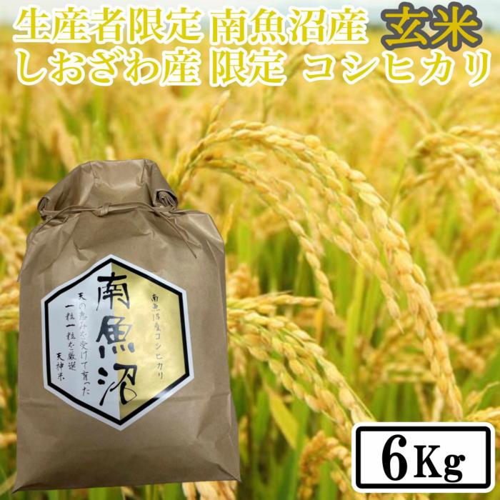 【ふるさと納税】【令和7年産】【6kg】玄米 しおざわ産限定 生産者限定 南魚沼産コシヒカリ【銘柄米 ブランド米 玄米 こしひかり コシヒカリ 魚沼産 新潟米 産地直送 お米 米 こめ コメ ご飯 御飯 ごはん】｜新潟県南魚沼市