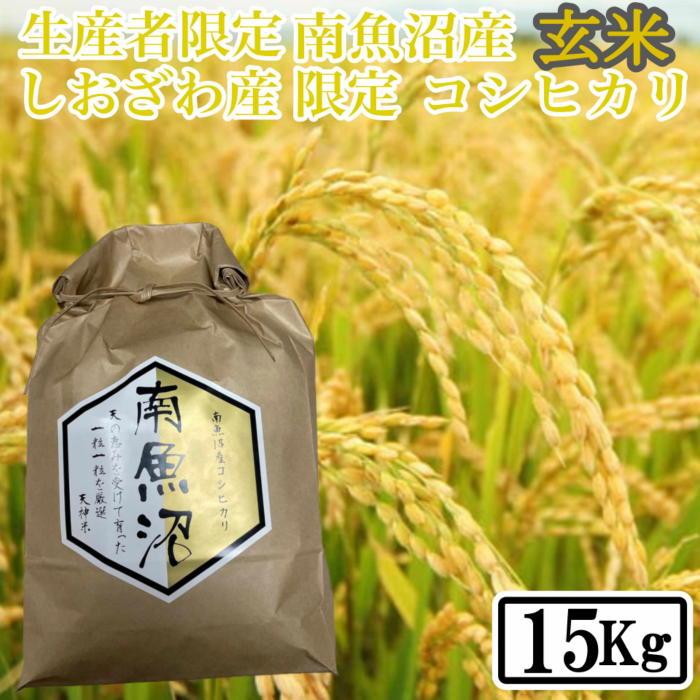 【ふるさと納税】【令和7年産】【15kg】玄米 しおざわ産限定 生産者限定 南魚沼産コシヒカリ【銘柄米 ブランド米 玄米 こしひかり コシヒカリ 魚沼産 新潟米 産地直送 お米 米 こめ コメ ご飯 御飯 ごはん】｜新潟県南魚沼市