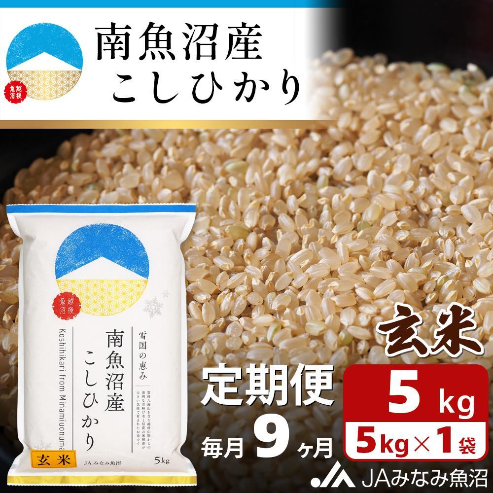 【ふるさと納税】【JAみなみ魚沼定期便】南魚沼産こしひかり玄米（5kg&times;全9回）特A獲得日本一産地 調整玄米 精選玄米 雪国の恵み もっちり甘い 南魚沼産コシヒカリ≪定期便 コシヒカリ こしひかり 玄米 銘柄米≫｜新潟県南魚沼市