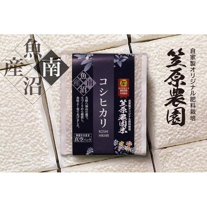 西山眞砂子さん 革工房Rimさん コラボ作品【新品】チェック&ストライプ石川ゆみ 西山眞砂子さん 革工房Rimさん コラボ作品【新品】チェック