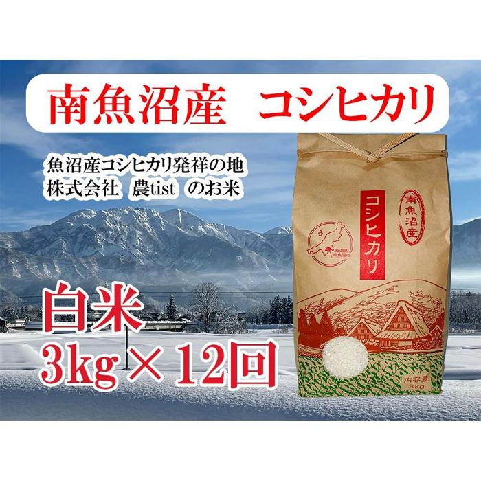 【ふるさと納税】【令和7年産】【定期便 南魚沼産】コシヒカリ 白米3kg×12回 | お米 こめ 白米 食品 人気 おすすめ 送料無料