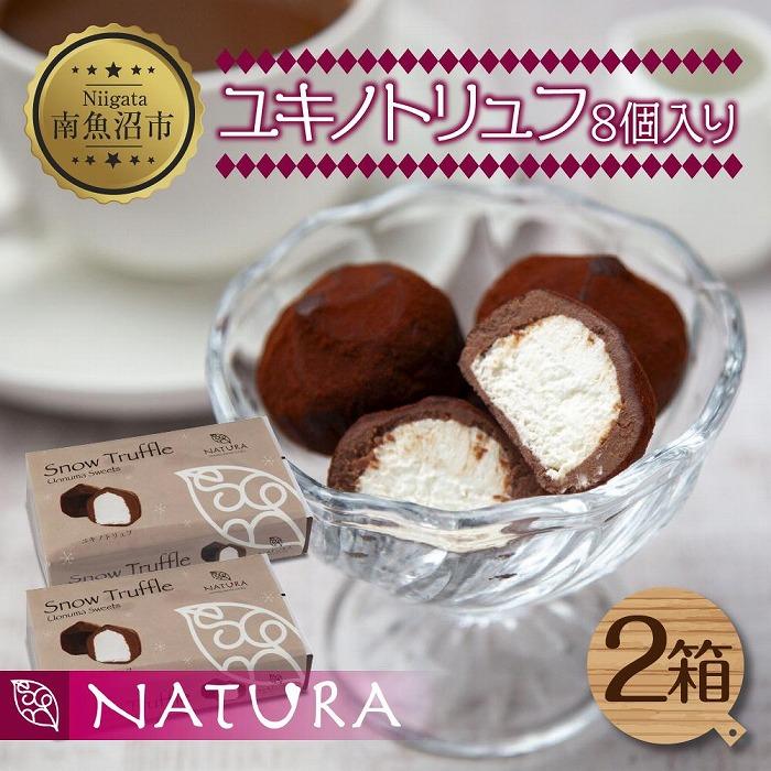 【ふるさと納税】ユキノトリュフ 8個 2箱 チョコレート ココア おやつ スイーツ 洋菓子 バレンタイン 誕生日 お祝い 贈り物 ギフト お取り寄せ 冷凍 グルメ パーティー 魚野の里 ナトゥーラ 新潟県 南魚沼市 | 菓子 おかし 食品 人気 おすすめ 送料無料|新潟県南魚沼市