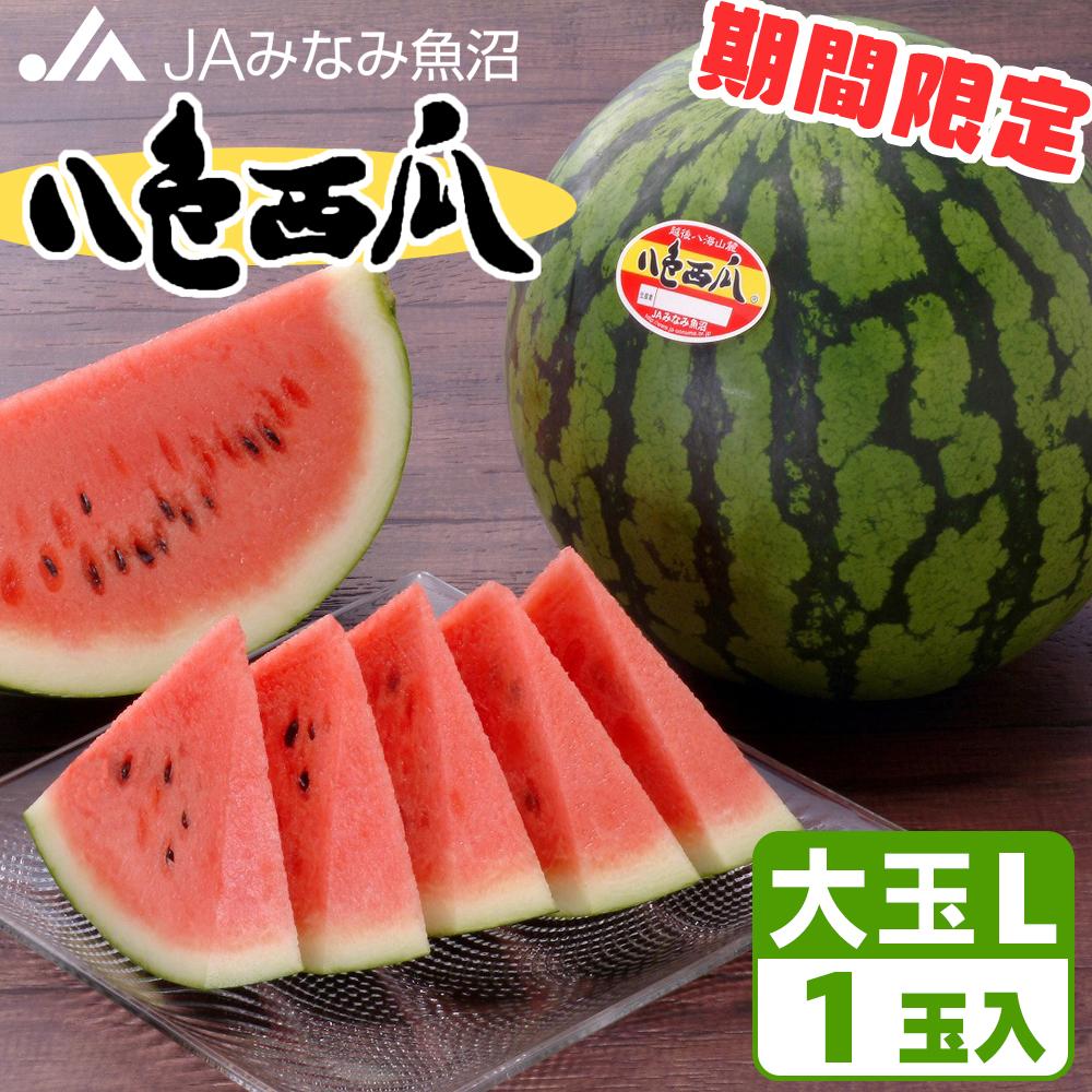 【ふるさと納税】【期間限定】八色西瓜（大玉 Lサイズ) ×1玉 | フルーツ 果物 くだもの 食品 人気 おすすめ 送料無料 新潟県 南魚沼市