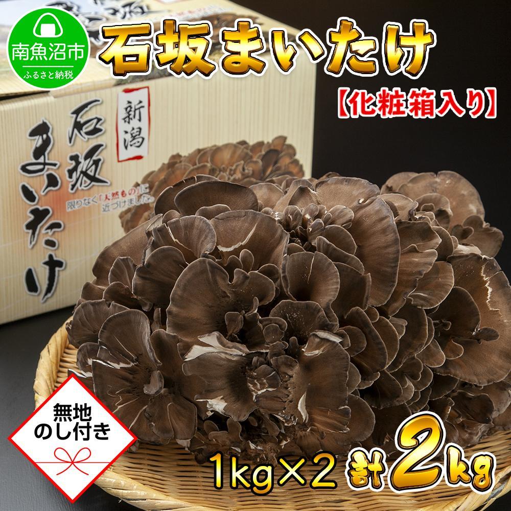 【ふるさと納税】【無地のし】 新潟県 南魚沼産 厳選 国産 石坂 高級 舞茸 まいたけ 産地直送 1kg ×2箱 計2kg 贈り物 ギフト お中元 お歳暮 石坂きのこ | 野菜 やさい 食品 人気 おすすめ 送料無料