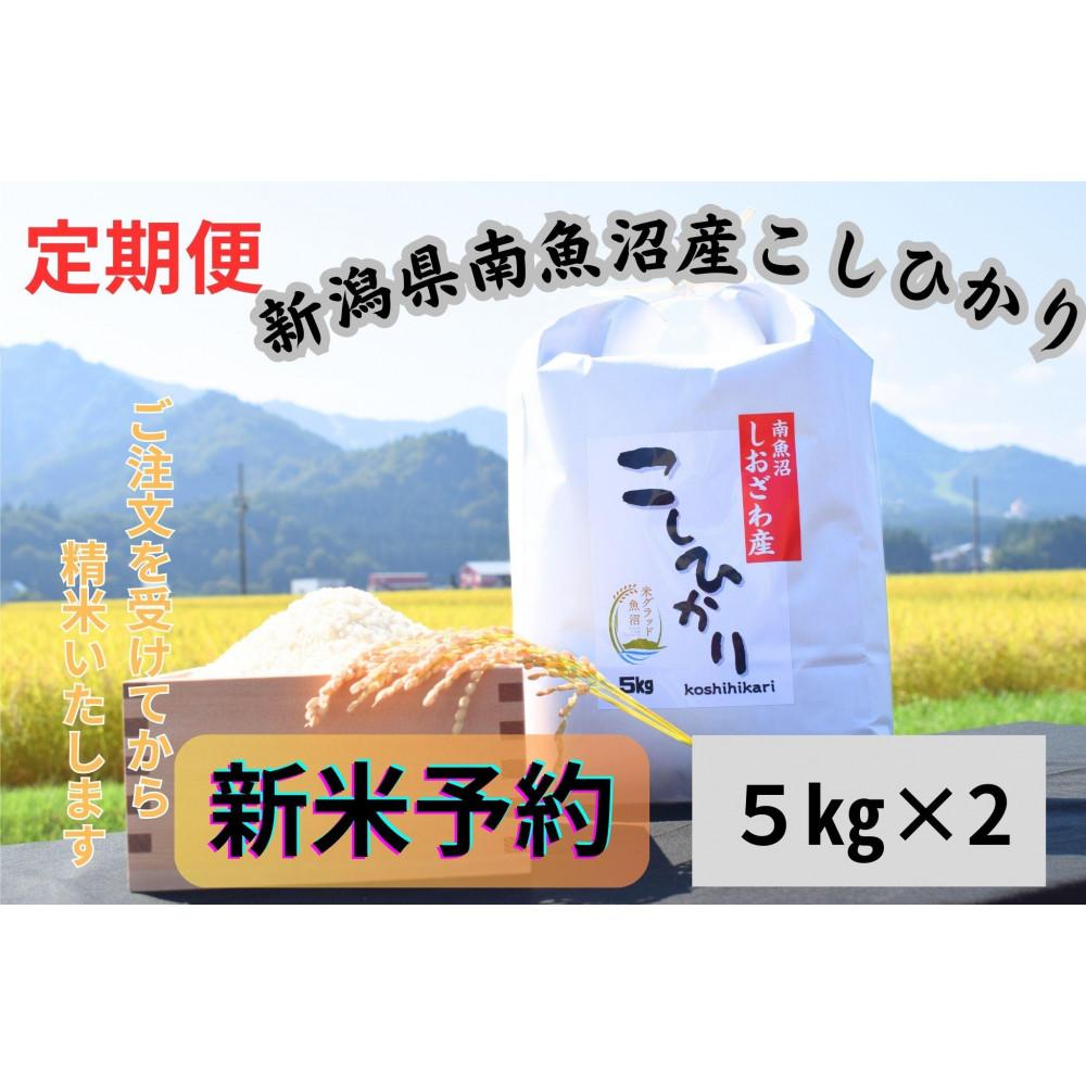 【ふるさと納税】【令和8年産・新米予約・定期便】新潟県南魚沼市の豊かな自然が育んだ、極上のコシヒカリ 10kg×6か月【定期便 銘柄米 ブランド米 精米 こしひかり コシヒカリ 魚沼産】【2026年9月下旬より1ヶ月以内に順次発送予定】|新潟県南魚沼市