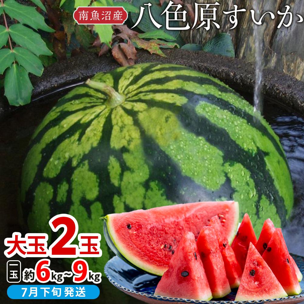 【ふるさと納税】【新潟県 南魚沼産】八色原すいか大玉２玉 | フルーツ 果物 くだもの 食品 人気 おすすめ 送料無料