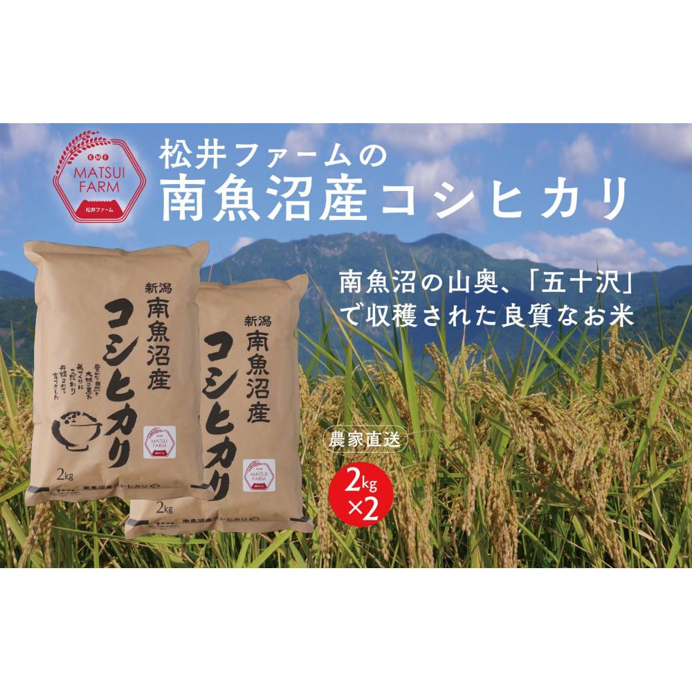 【ふるさと納税】【令和8年産新米予約】【定期便（無洗米）】南魚沼産コシヒカリ（4kg&times;6回)【定期便 銘柄米 ブランド米 無洗米 こしひかり コシヒカリ 魚沼産 新潟米お米 米 ごはん】【2026年10月上旬より1ヶ月以内に順次発送予定】｜新潟県南魚沼市