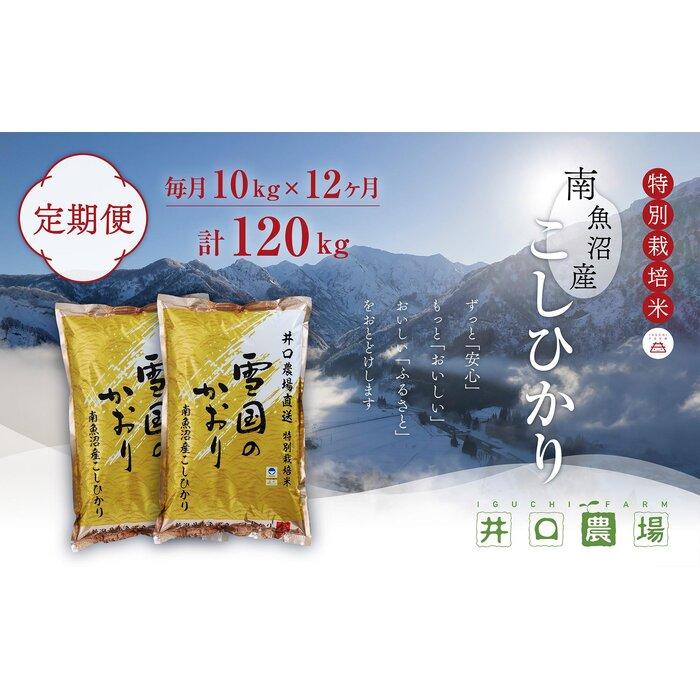 【ふるさと納税】【令和７年産】【定期便】１０kg×１２ヶ月　南魚沼産コシヒカリ 井口農場 こだわりの 特別栽培米 | お米 こめ 白米 コシヒカリ 食品 人気 おすすめ 送料無料 魚沼 南魚沼 南魚沼市 新潟県産 新潟県 精米 産直 産地直送
