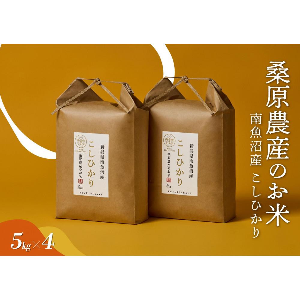 【ふるさと納税】【R7年産】日本のお米の最高峰 南魚沼産コシヒカリ20kg (5kg×4)【銘柄米 ブランド米 精米 こしひかり コシヒカリ 魚沼産 新潟米 産地直送 お米 米 こめ コメ ご飯 御飯 ごはん】|新潟県南魚沼市