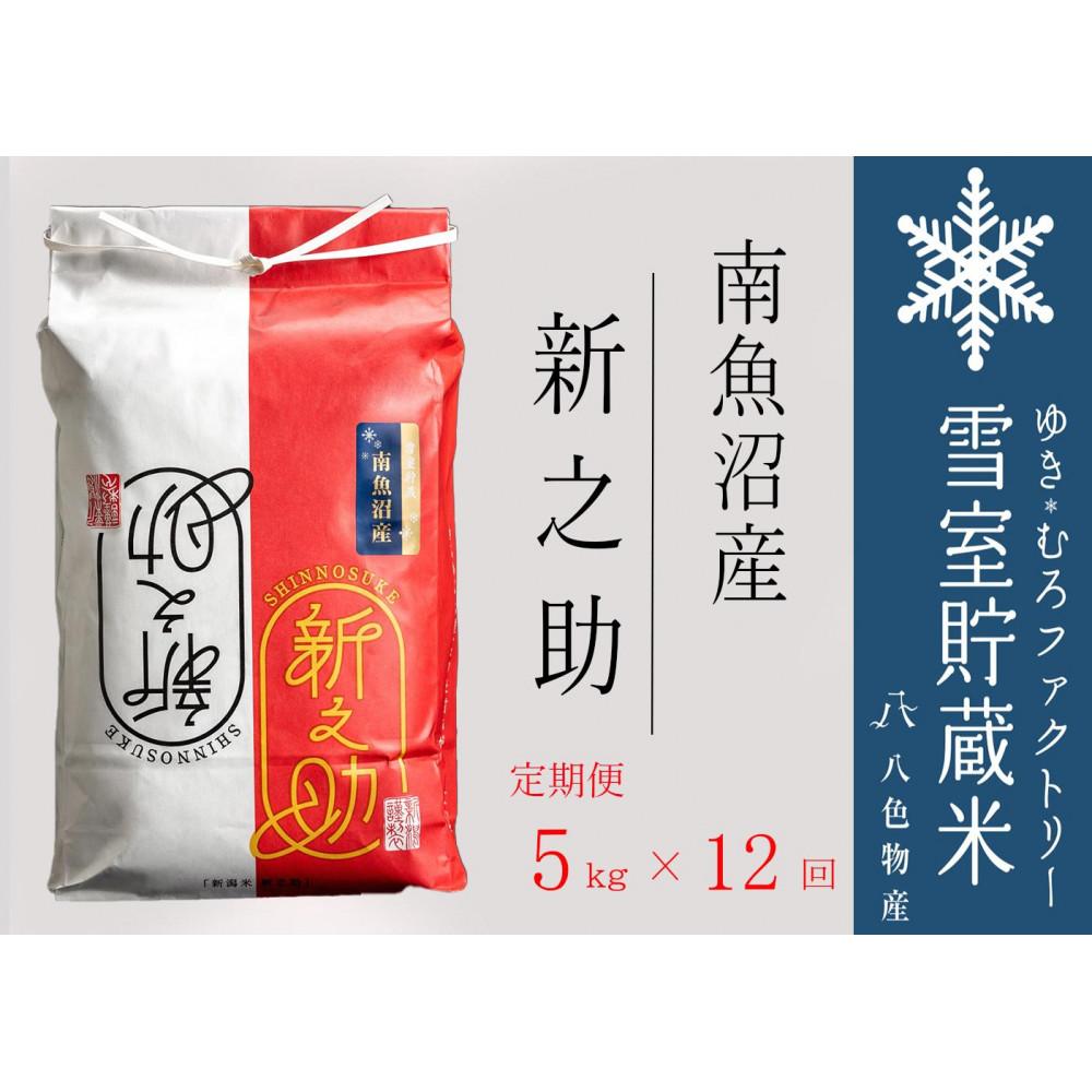 【ふるさと納税】【令和7年】新之助【定期便5kg×12回】雪室貯蔵米 南魚沼産【定期便 銘柄米 ブランド米 精米 新之助 魚沼産 新潟米 新潟県産 産地直送 ご飯 御飯 ごはん お米 米 こめ コメ】|新潟県南魚沼市