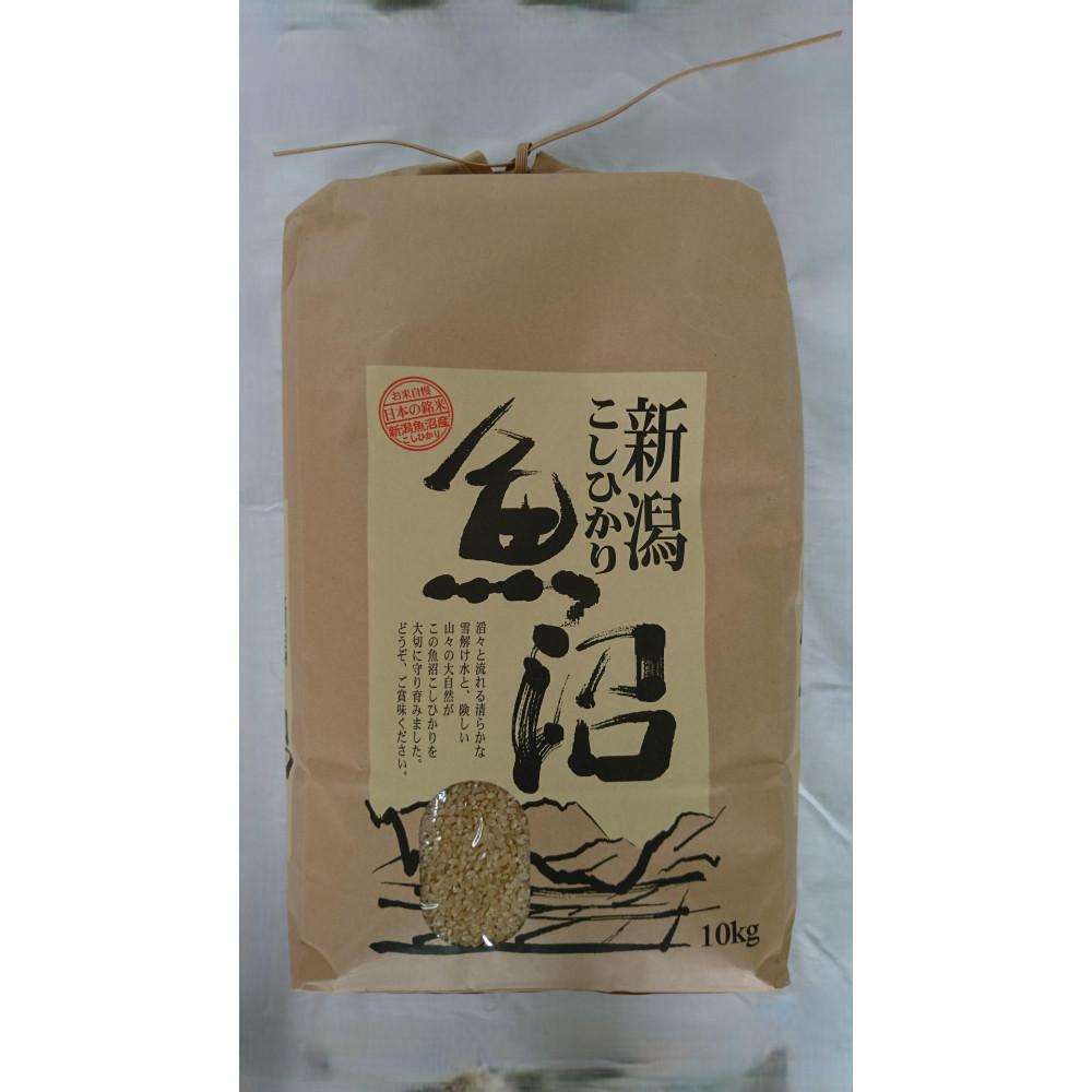 【ふるさと納税】【令和7年】魚沼産しおざわコシヒカリ玄米10kg【銘柄米 ブランド米 玄米 こしひかり コシヒカリ 魚沼産 新潟米 産地直送 お米 米 こめ コメ ご飯 御飯 ごはん】｜新潟県南魚沼市