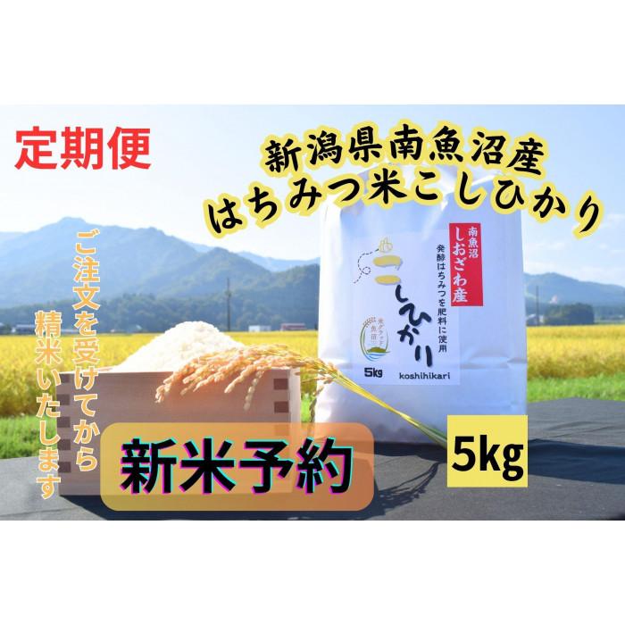 【ふるさと納税】【令和8年産・新米予約・定期便】新潟県南魚沼産(塩沢地区)はちみつ米コシヒカリ 5kg×12か月 ※蜂蜜発酵液肥料栽培【定期便 銘柄米 ブランド米 精米 こしひかり】【2026年9月下旬より1ヶ月以内に順次発送予定】|新潟県南魚沼市