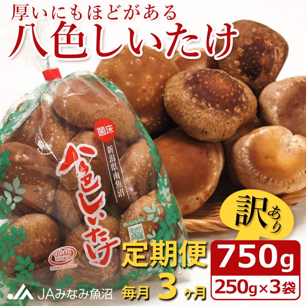 【ふるさと納税】【JAみなみ魚沼定期便】家庭用「八色しいたけ」（750g×全3回） 訳あり 不ぞろい 農家応援 厚いにもほどがある | 食品 加工食品 訳あり 不揃い 家庭用 自宅用 人気 おすすめ 送料無料