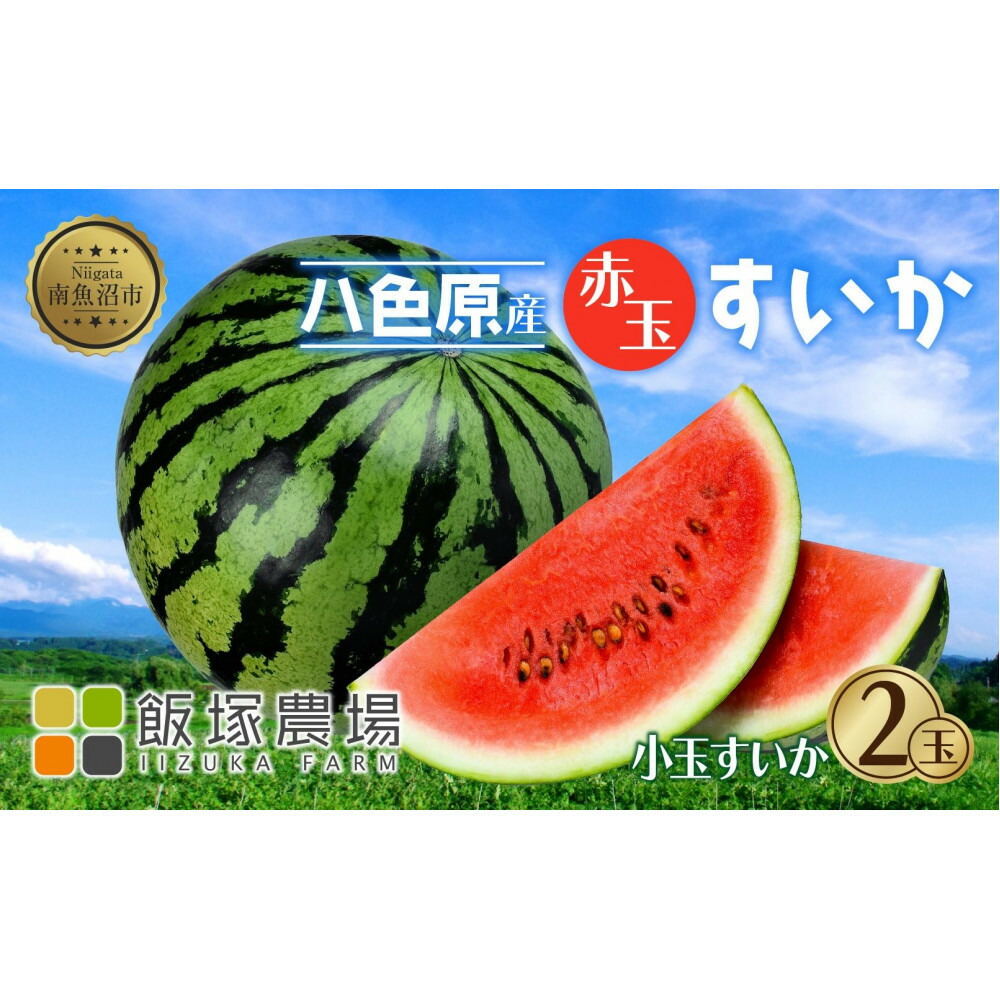 【ふるさと納税】【先行受付】 八色原産 赤玉すいか 小玉 2玉 スイカ 赤肉 西瓜 果物 フルーツ 旬 希少 貴重 甘い 国産 産地直送 ギフト 贈答 自家用 常温 お取り寄せ 送料無料 飯塚農場 新潟県 南魚沼市