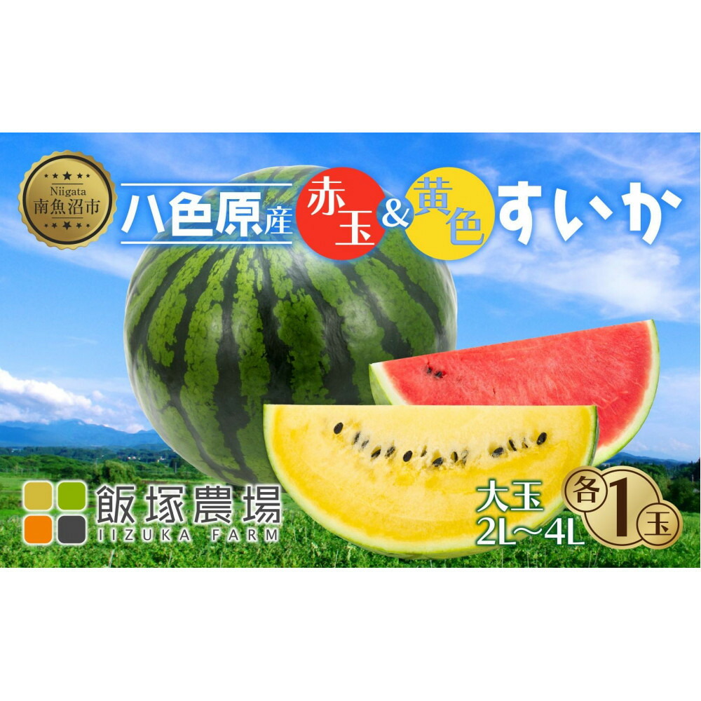 【ふるさと納税】【先行受付】 八色原産 赤玉＆黄色 すいか セット 2～4L 計2玉 スイカ 大玉 金色羅王 西瓜 果物 フルーツ 旬 希少 貴重 甘い 国産 産地直送 食べ比べ お取り寄せ 送料無料 飯塚農場 新潟県 南魚沼市