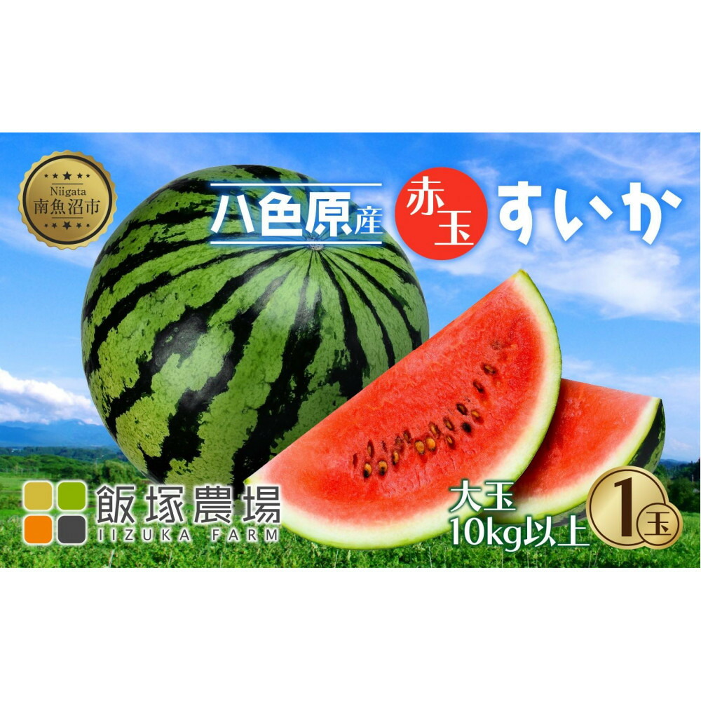 【ふるさと納税】【先行受付】 八色原産 赤玉すいか 大玉 10kg以上 1玉 スイカ 大玉 赤肉 西瓜 果物 フルーツ 旬 希少 貴重 甘い 国産 産地直送 ギフト 贈答 自家用 常温 お取り寄せ 送料無料 飯塚農場 新潟県 南魚沼市