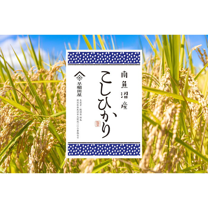 【ふるさと納税】【令和７年産新米予約】南魚沼産コシヒカリ ３ｋｇ　塩沢産コシヒカリ【2025年10月上旬より順次発送予定】 | お米 こめ 白米 食品 人気 おすすめ 送料無料
