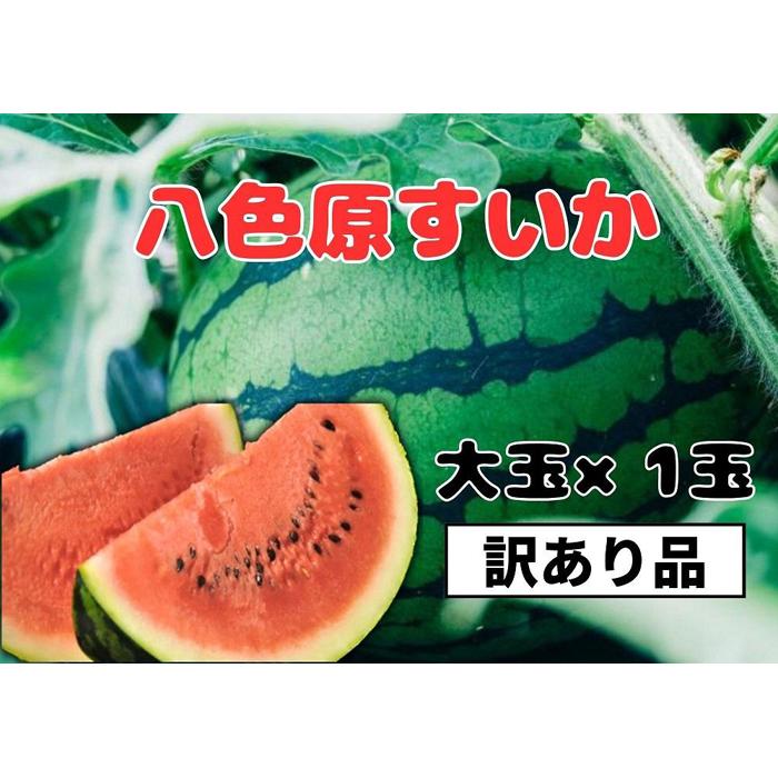 【ふるさと納税】すいか 訳あり 八色原すいか 大玉１玉 | フルーツ 果物 くだもの 食品 人気 おすすめ 送料無料　わけあり