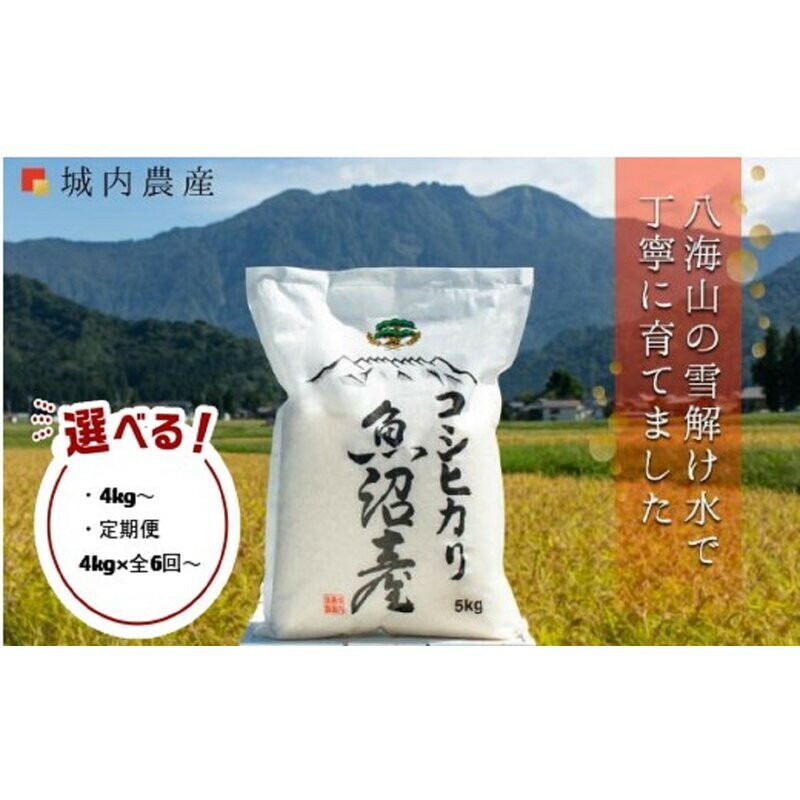 【ふるさと納税】【令和７年産新米予約】南魚沼産コシヒカリ 【５割減農薬栽培米】城内農産　白米4kg～10kg／無洗米4kg～20kg／定期便各種（一部品切れ中）【2025年10月上旬より順次発送予定】 | お米 白米 コシヒカリ 食品 人気 おすすめ 送料無料 南魚沼