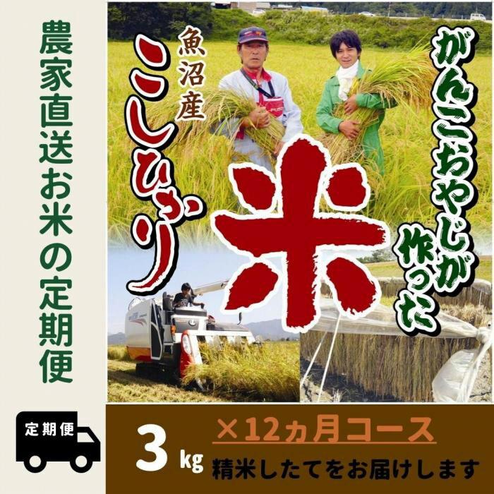 【ふるさと納税】【令和7年産】12か月定期便 がんこおやじが作った南魚沼産コシヒカリ白米3kg【定期便 銘柄米 ブランド米 精米 こしひかり コシヒカリ 魚沼産 新潟米 産地直送 お米 米 こめ コメ ご飯 御飯 ごはん】|新潟県南魚沼市