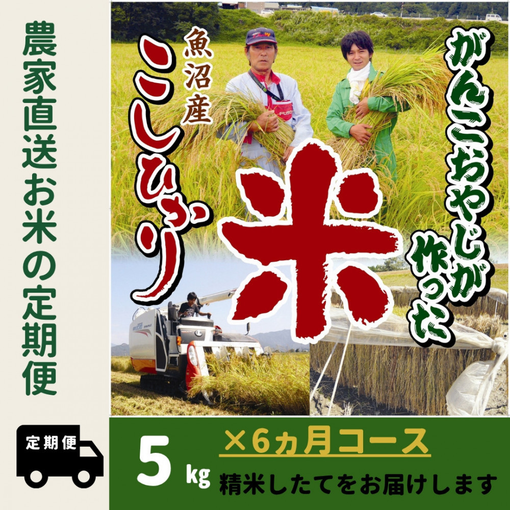 【ふるさと納税】【令和7年産】6か月定期便 がんこおやじが作った南魚沼産コシヒカリ白米5kg【定期便 銘柄米 ブランド米 精米 こしひかり コシヒカリ 魚沼産 新潟米 産地直送 お米 米 こめ コメ ご飯 御飯 ごはん】|新潟県南魚沼市