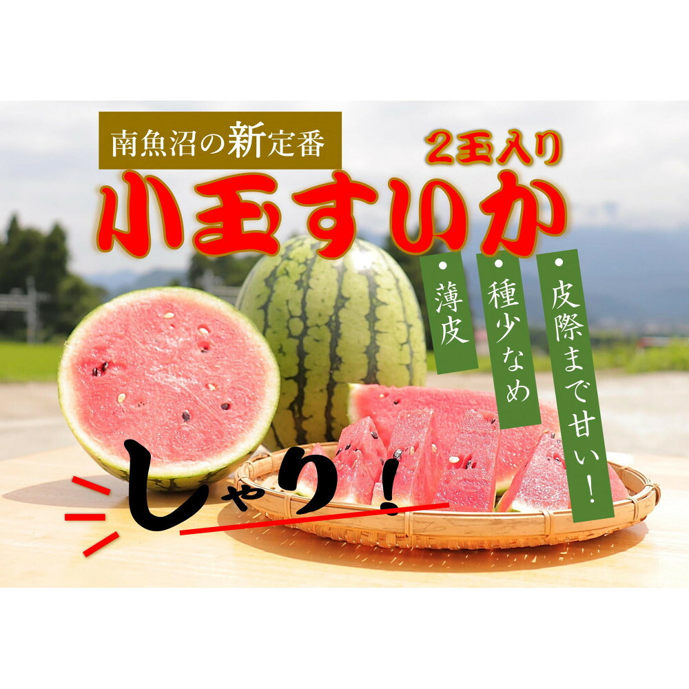 【ふるさと納税】【令和8年/小玉すいか予約】パリ！シャリ！甘～い！2玉入り【食べきりサイズ】【2026年7月中旬より発送予定】 | フルーツ 果物 くだもの 食品 人気 おすすめ 送料無料