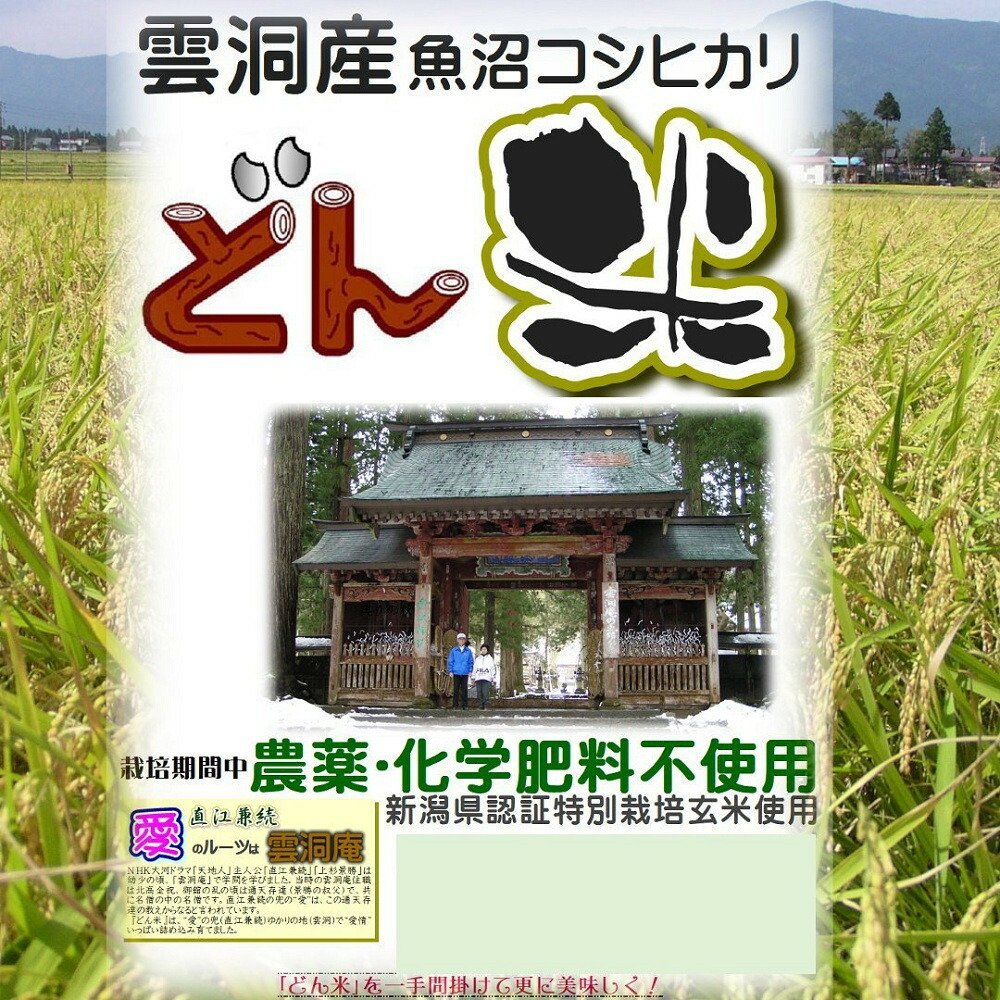 【ふるさと納税】【頒布会】南魚沼産「どん米」白米真空パック4.8kg×10ヶ月 ちょっと!うるさいよ!炊き方【定期便 銘柄米 ブランド米 精米 こしひかり コシヒカリ 魚沼産 新潟米 産地直送 お米 米 こめ コメ ご飯 御飯 ごはん】|新潟県南魚沼市