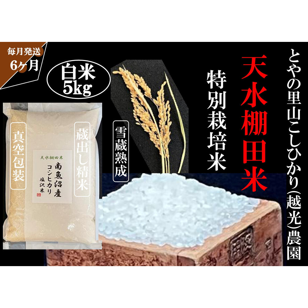 【ふるさと納税】定期便「とやの里山継承プロジェクト対象」【天水棚田米】南魚沼塩沢産コシヒカリ 精米5kg全6回