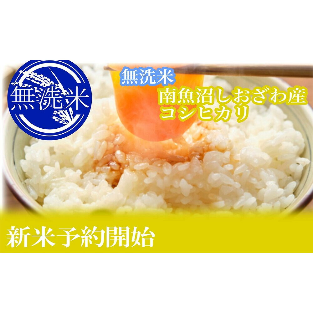 【ふるさと納税】【令和8年産 新米予約】定期便12ヶ月:無洗米5kg●南魚沼しおざわ産コシヒカリ【定期便 銘柄米 ブランド米 精米 こしひかり コシヒカリ 魚沼産 新潟米 お米 米 こめ コメ】【2026年10月上旬から1ヶ月以内に順次発送予定】|新潟県南魚沼市