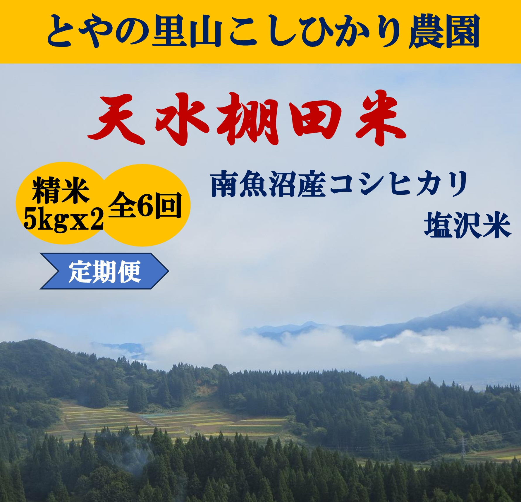 【ふるさと納税】令和8年産新米予約定期便【天水棚田米】雪蔵熟成塩沢産コシヒカリ精米10kg6回「とやの里山継承プロジェクト」【定期便 銘柄米 ブランド米 精米 こしひかり コシヒカリ 魚沼産 新潟米】【2026年10月下旬より順次発送予定】｜新潟県南魚沼市
