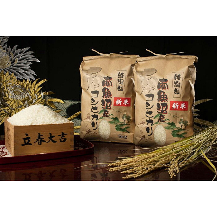 【ふるさと納税】【定期便】【令和7年産】南魚沼塩沢産こしひかり（無洗米10kg&times;全3回）【定期便 銘柄米 ブランド米 無洗米 こしひかり コシヒカリ 魚沼産 新潟米 産地直送 お米 米 こめ コメ ご飯 御飯 ごはん】｜新潟県南魚沼市
