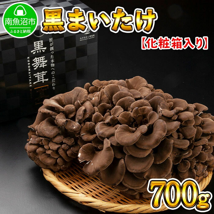 【ふるさと納税】新潟県 南魚沼産 高級 黒舞茸 キノコ 食材 700g ギフト gift お中元 お歳暮 取り寄せ 産地直送 黒 まいたけ 国産|新潟県南魚沼市